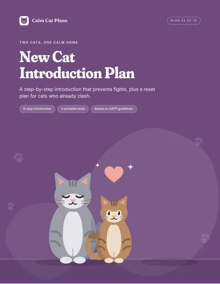 Cover of The New Cat Introduction Plan